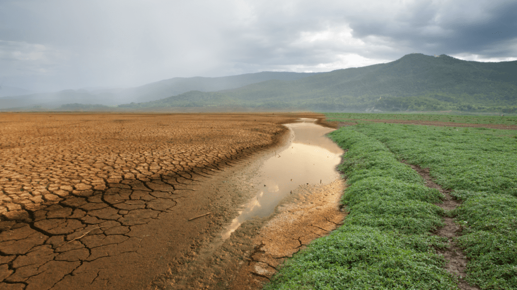 Paper Production and climate changes