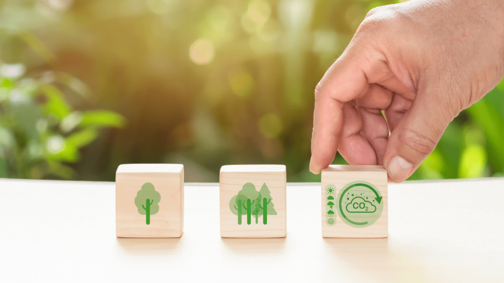 Criticism on Carbon Offsetting