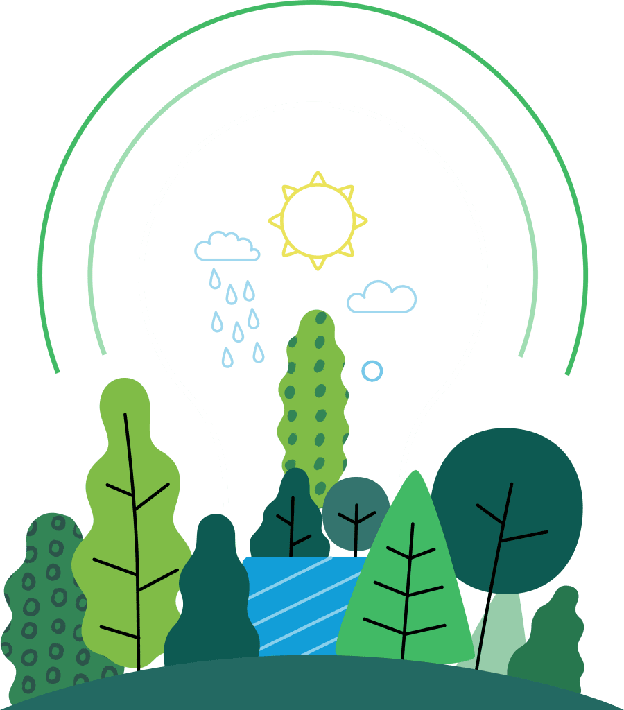 Carbon Offset Digital Physical Solutions For Businesses Ecooffset Carbon Offset Digital Physical Solutions For Businesses Ecooffset